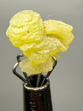 Load image into Gallery viewer, Vibrant Yellow Brucite Thumbnail Mineral Specimen | Collector Crystal from Killa Saifullah District in Balochistan Province, Pakistan
