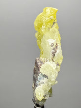 Load image into Gallery viewer, Vibrant Yellow Brucite Thumbnail Mineral Specimen | Collector Crystal from Killa Saifullah District in Balochistan Province, Pakistan
