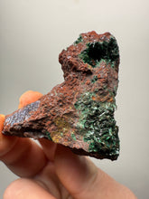 Load image into Gallery viewer, Brochantite Collector Mineral Specimen – Vivid Green Copper Crystals from Morocco
