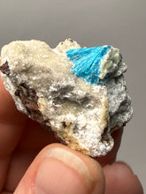 Load image into Gallery viewer, Rare Electric Blue Cavansite on Druzy Matrix – Collector Mineral Specimen | India
