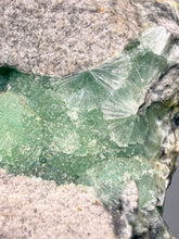 Load image into Gallery viewer, High-Grade Green Wavellite Collectors Specimen - Radiating Botryoidal Crystal Formation - Arkansas, USA
