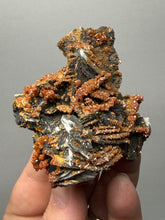 Load image into Gallery viewer, Natural Vanadinite on Matrix | Collector Mineral Specimen | Morocco
