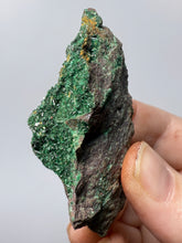 Load image into Gallery viewer, Brochantite Collector Mineral Specimen – Vivid Green Copper Crystals from Morocco
