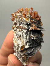 Load image into Gallery viewer, Natural Vanadinite on Matrix | Collector Mineral Specimen | Morocco

