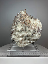 Load image into Gallery viewer, Dragon Scale Calcite with Phantom Silver &amp; Pink Inclusions • High Grade • Mineral Collector’s Specimen Showpiece
