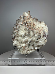 Dragon Scale Calcite with Phantom Silver & Pink Inclusions • High Grade • Mineral Collector’s Specimen Showpiece