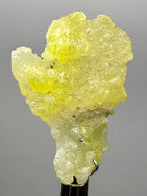 Load image into Gallery viewer, Vibrant Yellow Brucite Thumbnail Mineral Specimen | Collector Crystal from Killa Saifullah District in Balochistan Province, Pakistan
