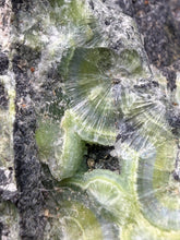 Load image into Gallery viewer, High-Grade Green Wavellite Collectors Specimen - Radiating Botryoidal Crystal Formation - Arkansas, USA
