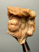 Load image into Gallery viewer, Chalcedony Quartz Rose Agate Collector Mineral Specimen – Morocco
