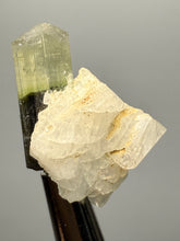 Load image into Gallery viewer, Green Cap Stak Nala Tourmaline with Cleavelandite – Haramosh Mountains, Pakistan | Thumbnail Specimen
