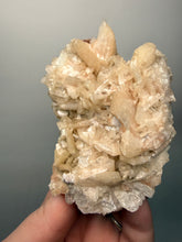 Load image into Gallery viewer, High-Grade Pink Stilbite  + Red Heulandite Zeolite | Indian Collector Mineral Specimen
