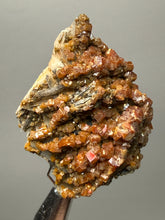 Load image into Gallery viewer, Natural Vanadinite on Matrix | Collector Mineral Specimen | Morocco
