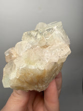 Load image into Gallery viewer, High-Grade Apophyllite on Pink Stilbite Zeolite | Indian Collector Mineral Specimen
