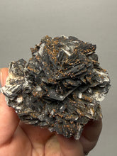Load image into Gallery viewer, Natural Vanadinite on Matrix | Collector Mineral Specimen | Morocco
