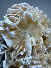 Load image into Gallery viewer, Desert Rose Selenite (Gypsum) — Mineral Display Specimen | Mexico
