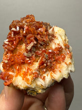 Load image into Gallery viewer, Natural Vanadinite on Matrix | Collector Mineral Specimen | Morocco
