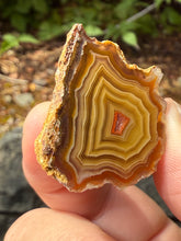 Load image into Gallery viewer, Small High-Grade Laguna Agate with Parallax Effect &amp; Quartz Core – Rare Mexican Collectible Gemstone
