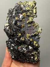 Load image into Gallery viewer, 6.1” New Find: Huanzala Mine Peru Sphalerite + Chalcopyrite + Apatite + Calcite + Quartz | Collector Display Specimen
