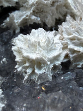 Load image into Gallery viewer, Mordenite with Optical Calcite on Druzy Chalcedony | Mineral Cabinet Specimen | Deccan Traps, India
