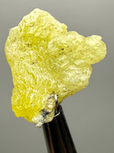 Load image into Gallery viewer, Vibrant Yellow Brucite Thumbnail Mineral Specimen | Collector Crystal from Killa Saifullah District in Balochistan Province, Pakistan
