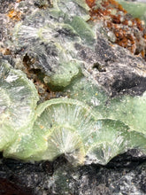 Load image into Gallery viewer, High-Grade Green Wavellite Collectors Specimen - Radiating Botryoidal Crystal Formation - Arkansas, USA

