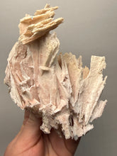 Load image into Gallery viewer, Rare Natural Pink Anhydrite Collector Mineral | Brazil
