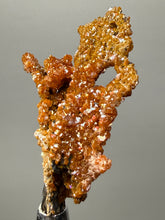 Load image into Gallery viewer, Natural Vanadinite on Matrix | Collector Mineral Specimen | Morocco
