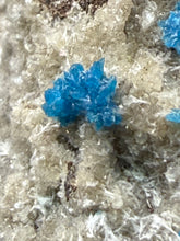 Load image into Gallery viewer, Rare Electric Blue Pentagonite &amp; Cavansite on Druzy Matrix | Collector Mineral Specimen | Wagholi Quarry, India
