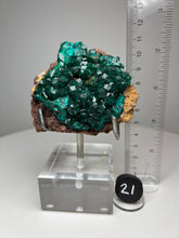 Load image into Gallery viewer, Dioptase Cluster from Congo • High Grade • Mineral Collector’s Specimen Showpiece
