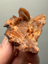 Load image into Gallery viewer, Chalcedony Quartz Rose Agate Collector Mineral Specimen – Morocco
