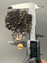 Load image into Gallery viewer, Natural Vanadinite on Matrix | Collector Mineral Specimen | Morocco
