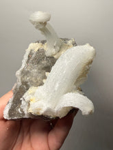 Load image into Gallery viewer, RARE COMBO Moroccan Ram’s Horn Selenite (Gypsum) with Yellow Botryoidal Fluorite Display Specimen
