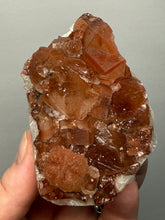 Load image into Gallery viewer, Rare Red Apophyllite + Druzy Red Stilbite Flowers — Deccan Traps, India
