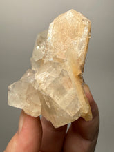 Load image into Gallery viewer, High-Grade Apophyllite on Pink Stilbite Zeolite | Indian Collector Mineral Specimen
