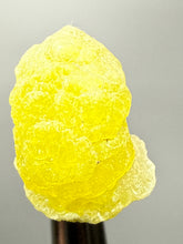 Load image into Gallery viewer, Vibrant Yellow Brucite Thumbnail Mineral Specimen | Collector Crystal from Killa Saifullah District in Balochistan Province, Pakistan

