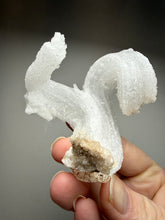 Load image into Gallery viewer, Moroccan Ram’s Horn Selenite (Gypsum) Crystal Display Specimen
