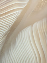 Load image into Gallery viewer, Rare Moroccan White Agate w Incredible Parallax Collected by Indigenous Nomads | Ancient Beauty from the Sahara
