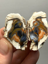 Load image into Gallery viewer, Premium Sumatra Agate Pair (Banded Chalcedony) Display Specimen | Indonesia
