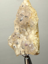 Load image into Gallery viewer, Blue-Green Chrysocolla in Botryoidal Chalcedony Cabinet Specimen | Indonesia
