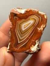 Load image into Gallery viewer, Premium Sumatra Agate Pair (Banded Chalcedony) Display Specimen | Indonesia

