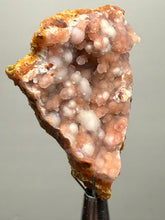 Load image into Gallery viewer, “Goblin Chalcedony” Pink &amp; Orange Druzy Botryoidal Stalactites— Tichka Massif, High Atlas, Morocco
