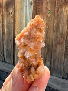 Orange Gem Heulandite • Maharashtra, India