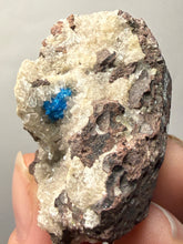 Load image into Gallery viewer, Rare Electric Blue Pentagonite on Druzy Matrix – Collector Mineral Specimen | India

