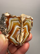 Load image into Gallery viewer, High-Grade Indonesian Sumatra Agate Pair – Vibrant Banded Chalcedony with Rich Color Zoning | Ethical Lapidary &amp; Collector Display Specimens
