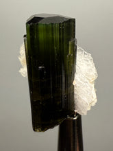 Load image into Gallery viewer, Dark Green Cap Stak Nala Tourmaline with Cleavelandite Flower – Haramosh Mountains, Pakistan | Thumbnail Specimen
