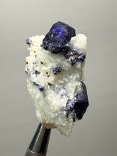 Load image into Gallery viewer, Afghan Lazurite Specimen | Deep Blue Lapis-Grade Crystal on Matrix | Collector Display Mineral
