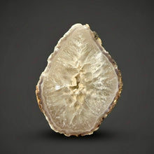 Load image into Gallery viewer, Natural Laguna Agate Collector Mineral Specimen | Chihuahua, Mexico
