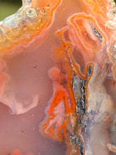Load image into Gallery viewer, “Fiery Frozen Lake of the Atlas” – Scenic Plume Carnelian Agate from Morocco” • Polished
