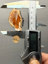 Load image into Gallery viewer, Premium Sumatra Agate (Banded Chalcedony) Display Specimen | Indonesia
