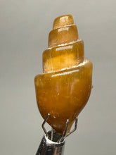 Load image into Gallery viewer, Agatized Gastropod Fossil Specimen | Morocco
